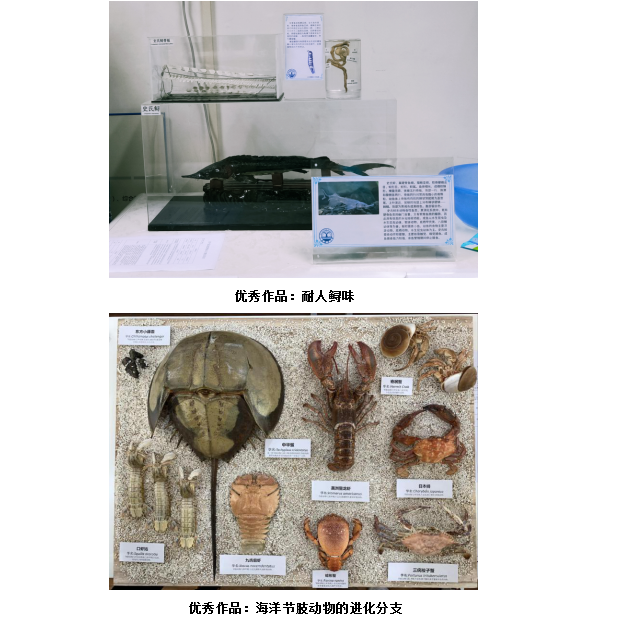 大连海洋大学第十届动植物标本制作大赛在水产与生命